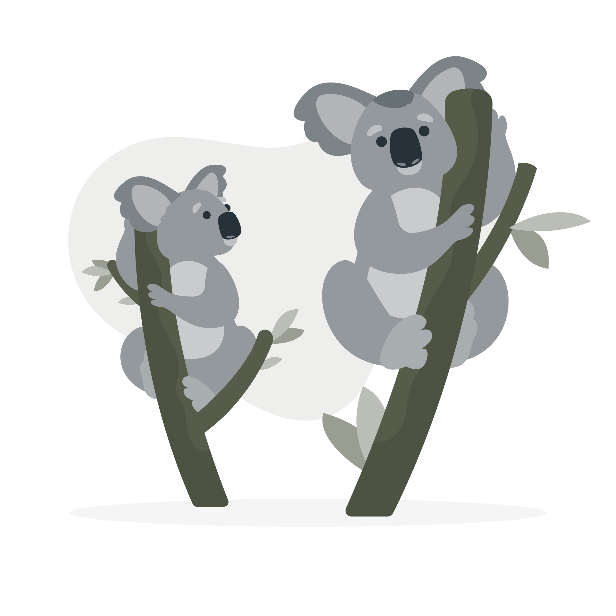 Koalas